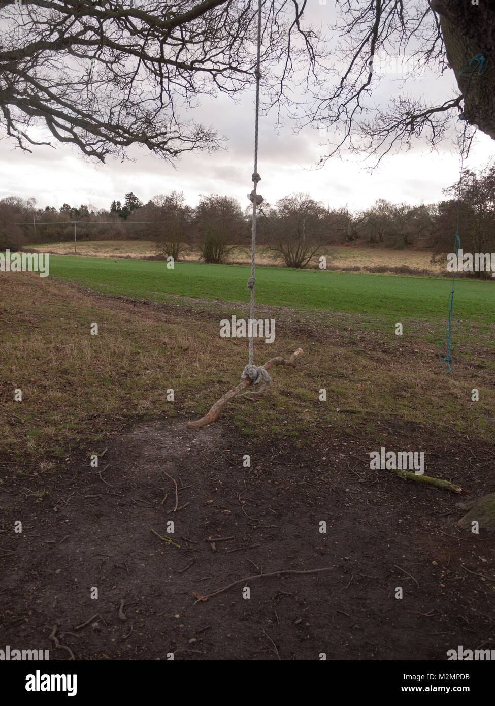 Rope Swing Hanging From Tree High Resolution Stock Photography and