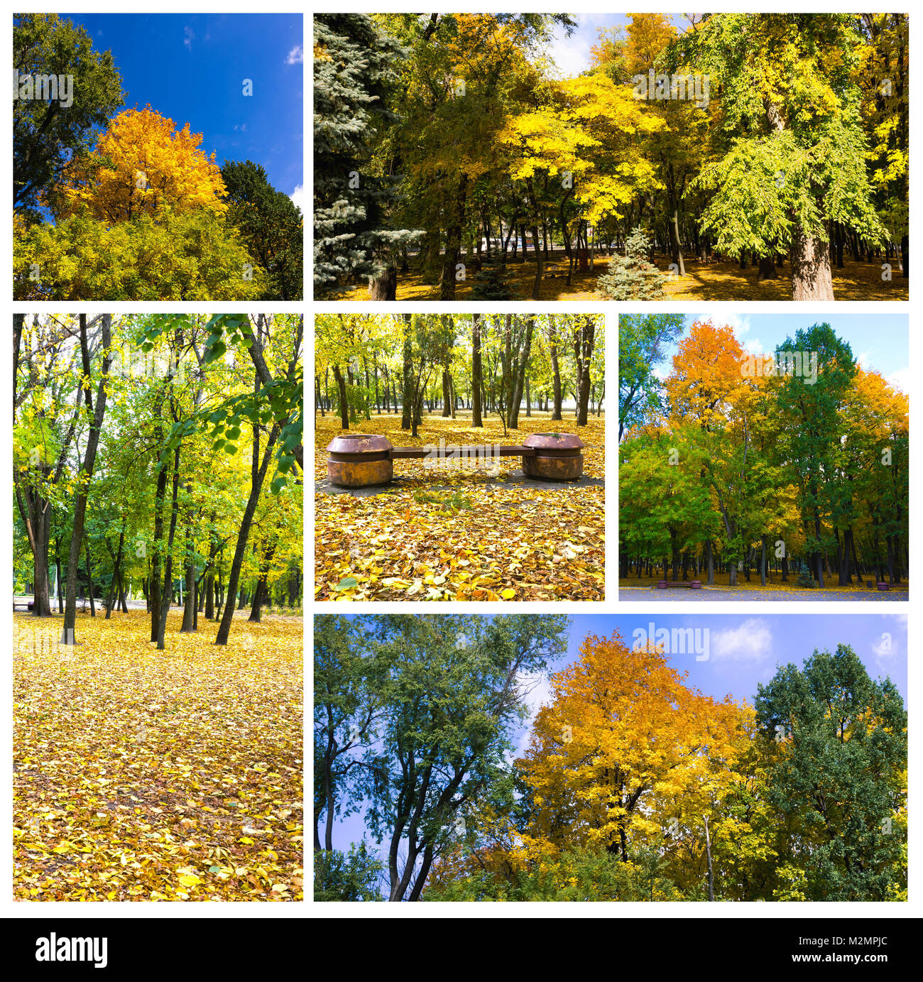 Autumn collage - Collection of autumn photos Stock Photo