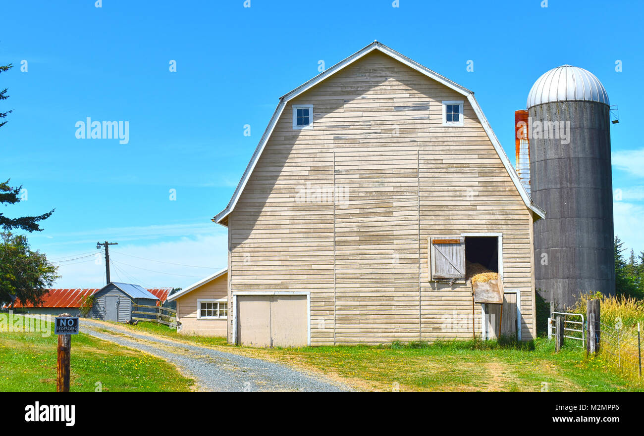 Beautiful country farm with gravel road leading around the barns. The farm  is located in the pacific northwest countryside of Ferndale, Washington US  Stock Photo - Alamy, image size:1300x881