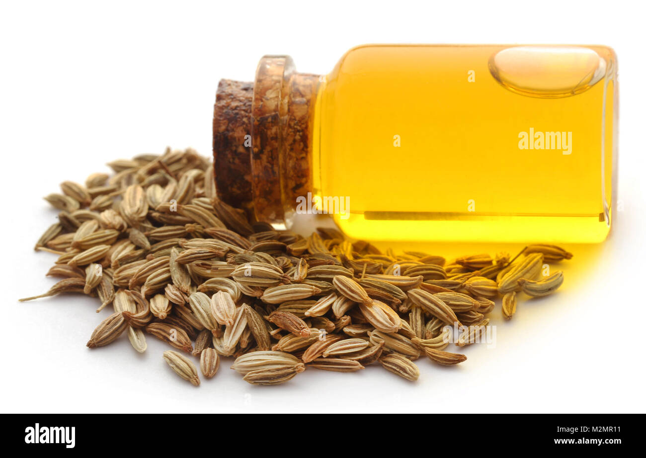 Фенхель Купить В Аптеке В Спб