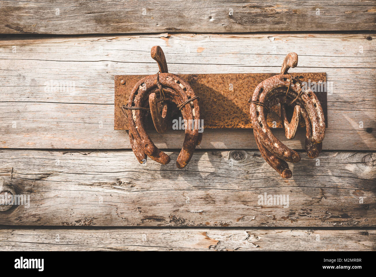 American horseshoes hires stock photography and images Alamy