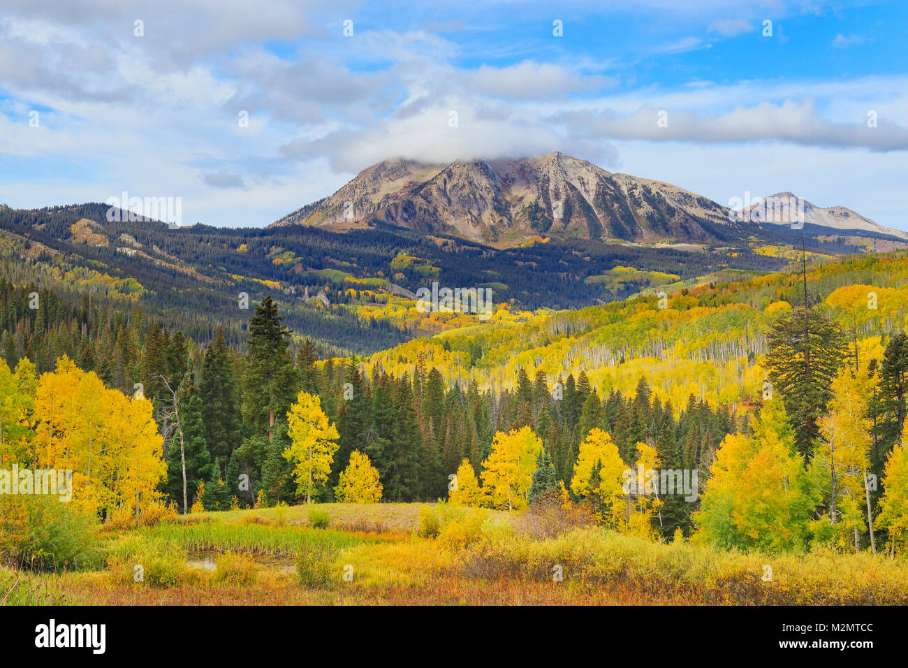 East Beckwith Mountain, Kebler Pass, Crested Butte, Colorado, USA Stock