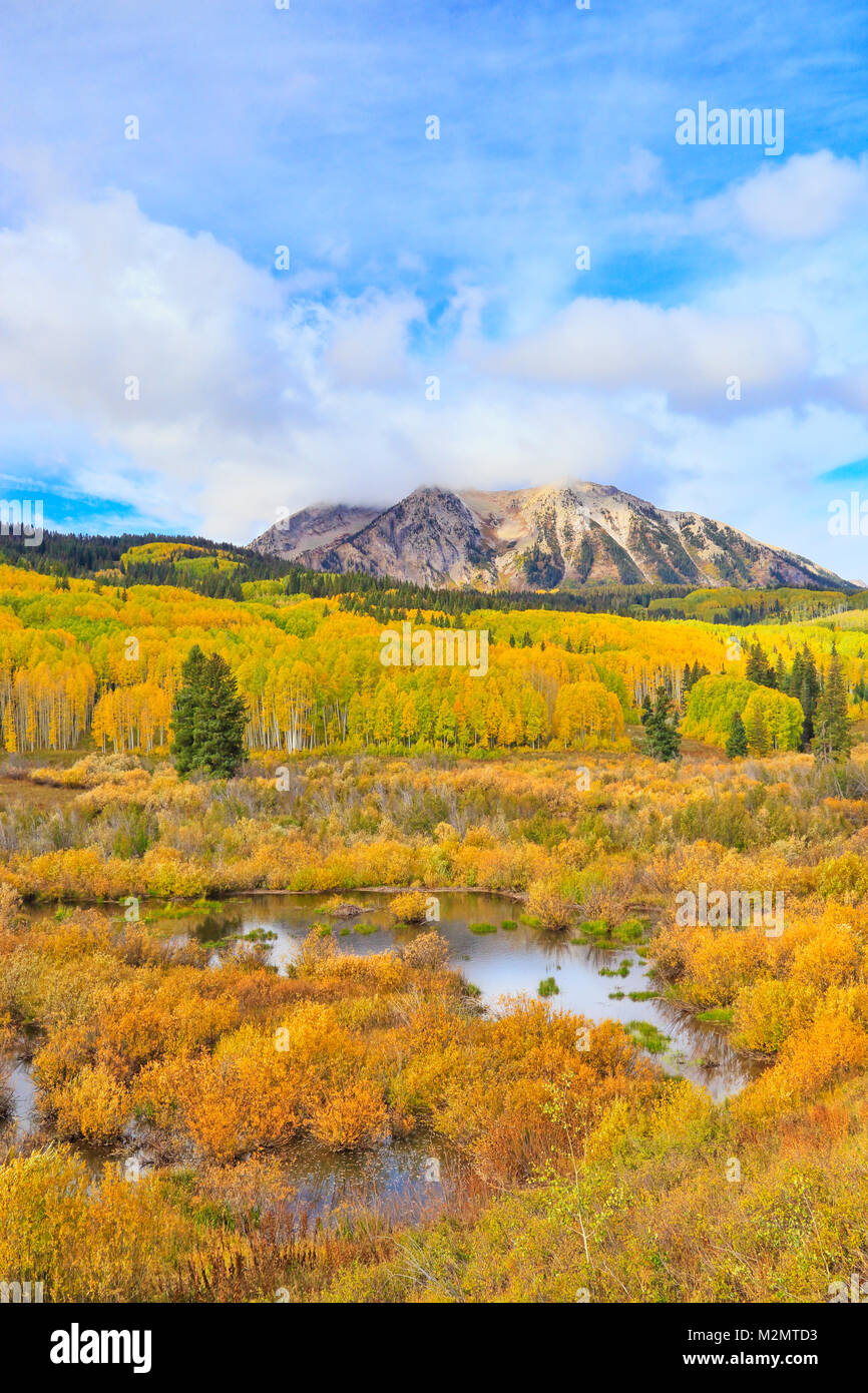East Beckwith Mountain, Kebler Pass, Crested Butte, Colorado, USA Stock