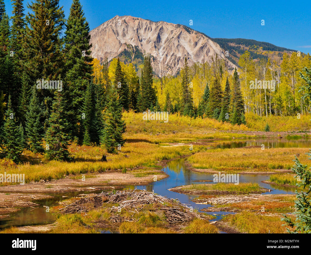 Marcellina Mountain, Horse Ranch Park Loop Trail, Kebler Pass, Crested Butte, Colorado, USA Stock Photo