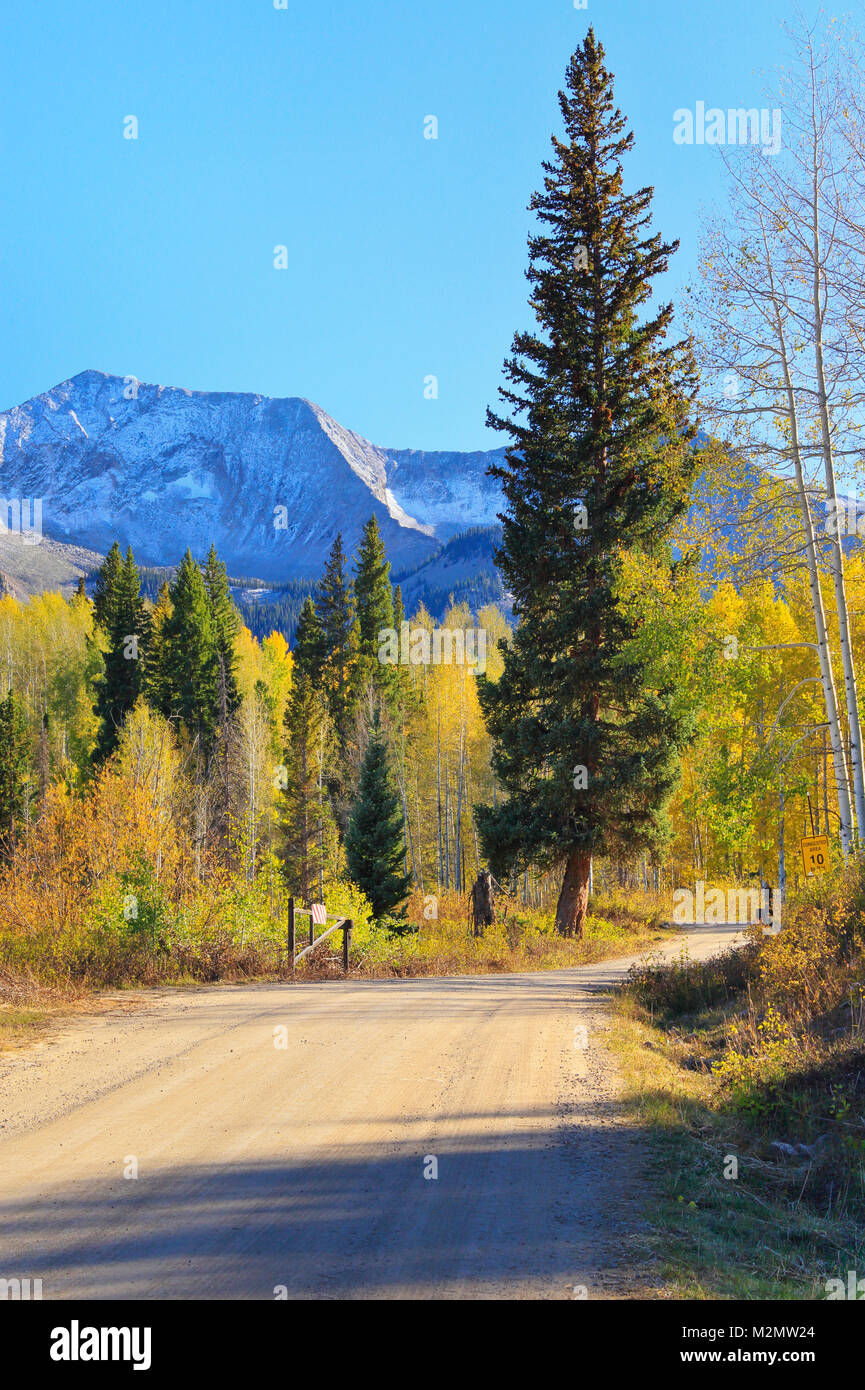 Lost Lake Road, Kebler Pass, Crested Butte, Colorado, USA Stock Photo
