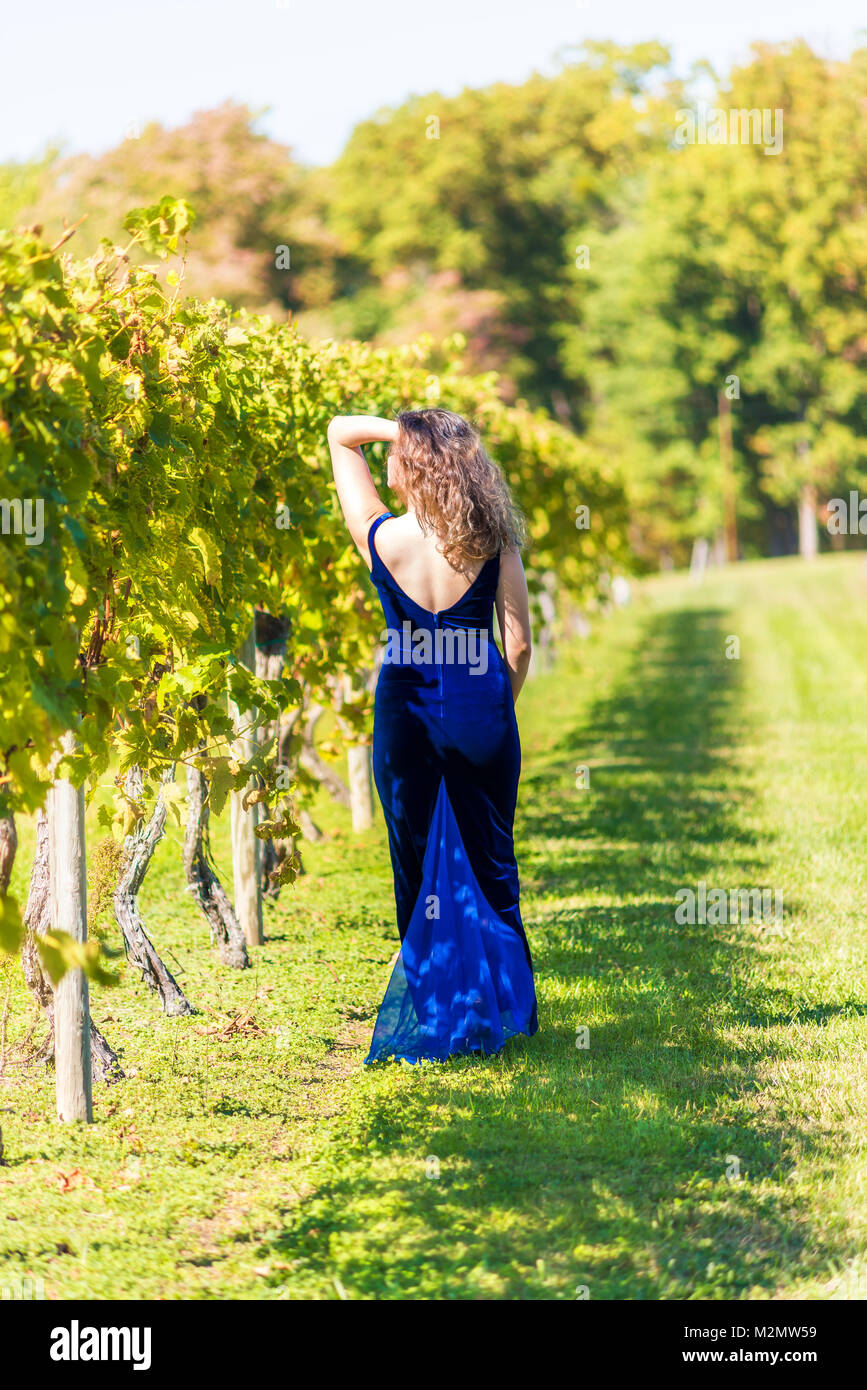 Elegant young woman in blue velvet dress by vineyard winery grapevine  leaves green in Virginia holding grapes, touching with hands, back Stock  Photo - Alamy