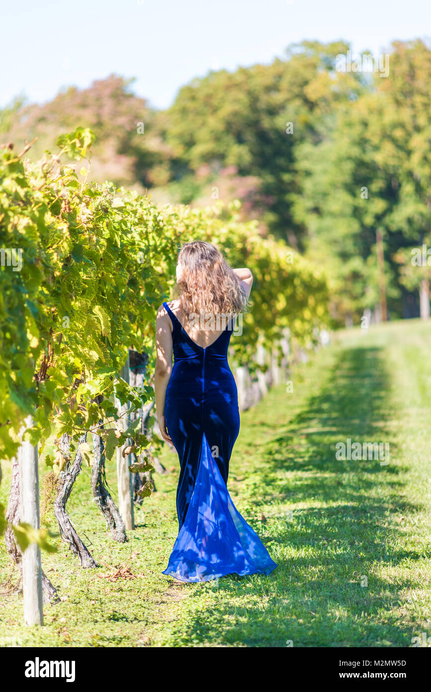 Elegant young woman in blue velvet dress by vineyard winery grapevine