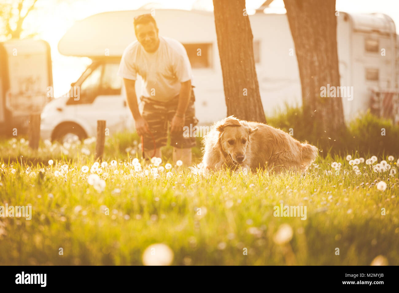 Girl playing with her golden retriever dog in summer park Stock Photo ...