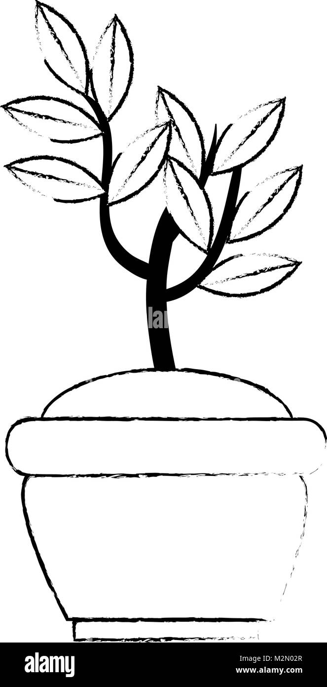 tree plant in pot Stock Vector Image & Art - Alamy