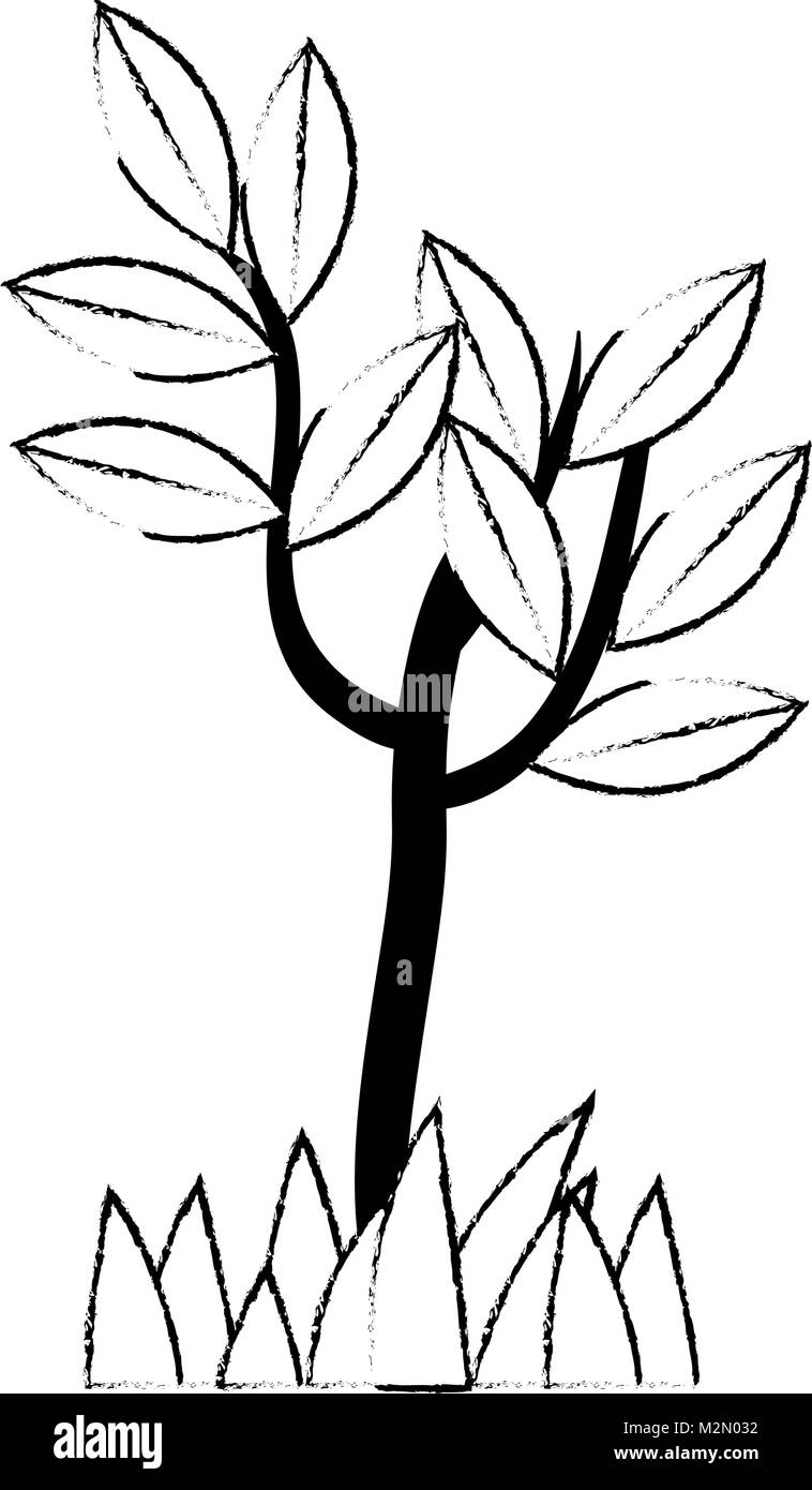 tree plant isolated icon Stock Vector Image & Art - Alamy