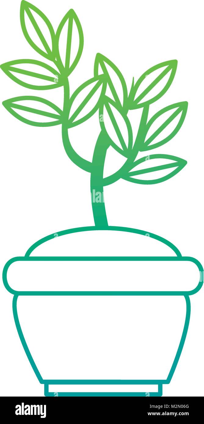 tree plant in pot Stock Vector Image & Art Alamy