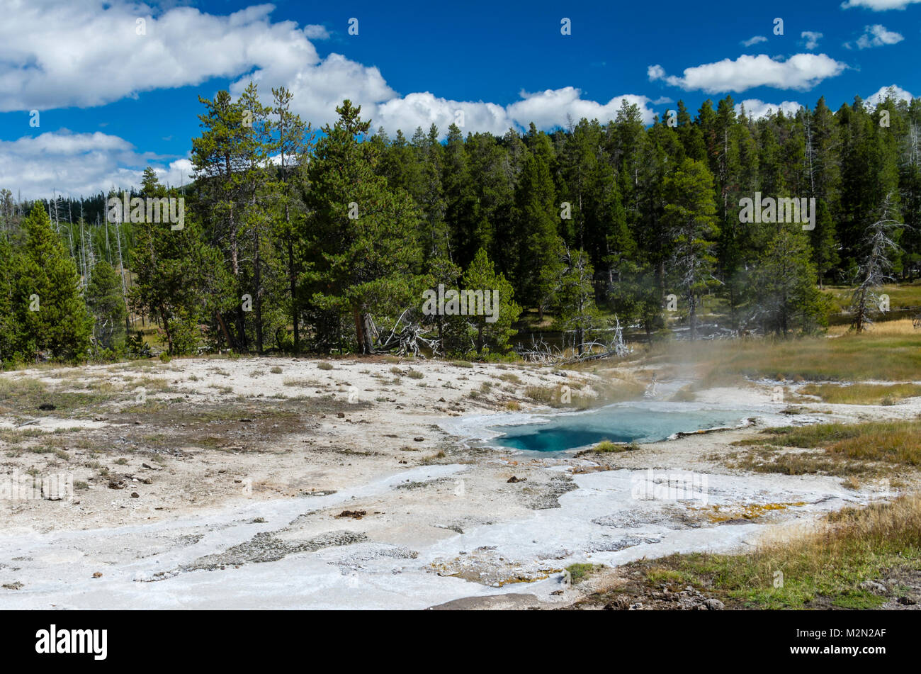 Grotto Fountain Geyser has a brilliant blue mineral color.  Upper Geyser Basin.  Yellowstone National Park, Wyoming, USA Stock Photo