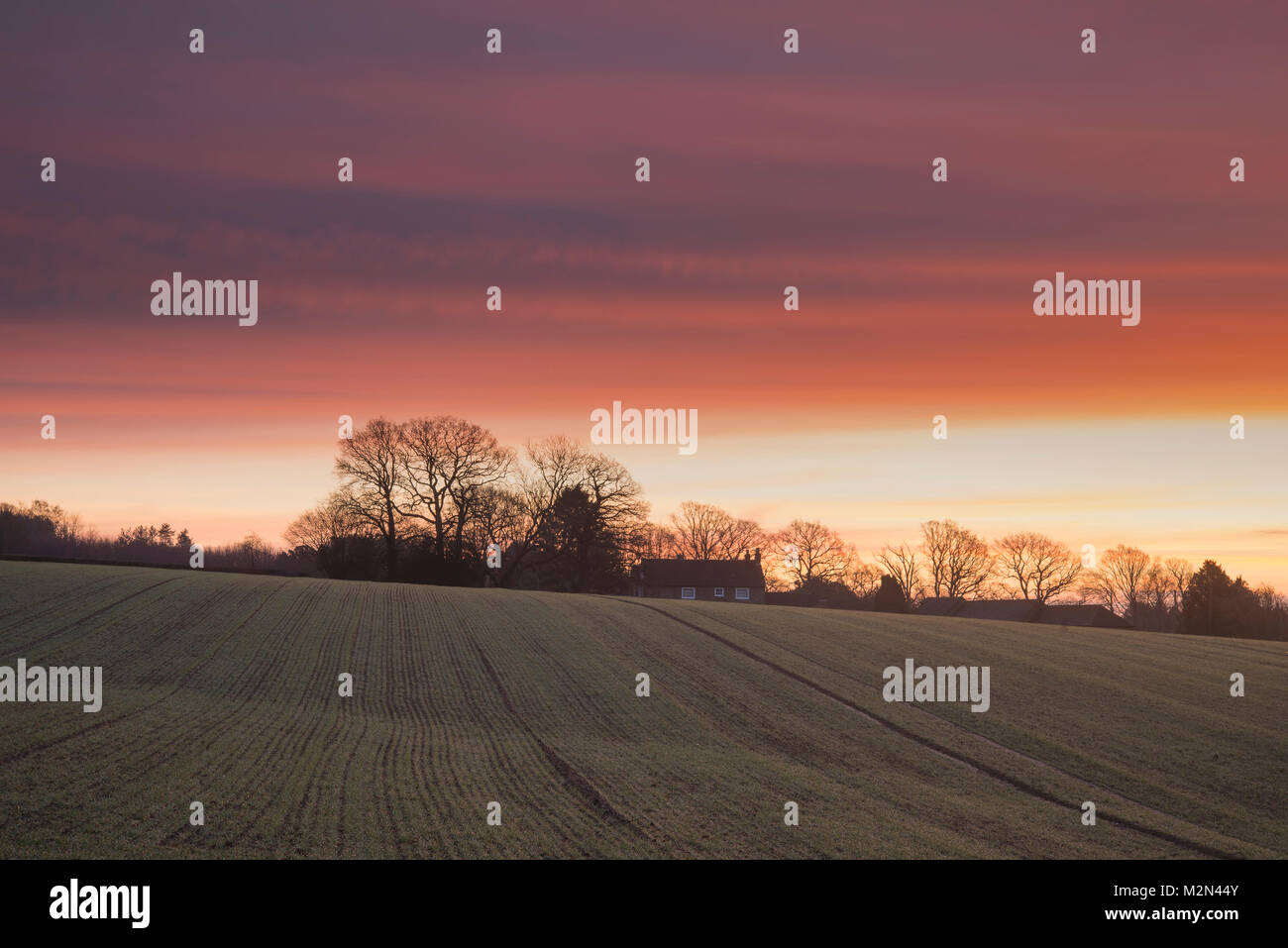 Stunning Winter sunrise over farmhouse in English countryside landscape ...