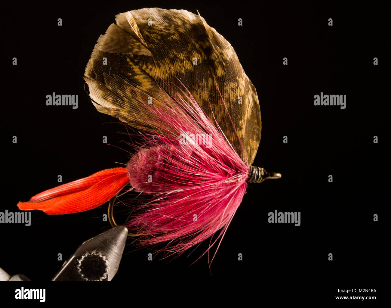 Claret Montreal Bass Fly Hook: ring-eye bass hook. Size No.1 Tail: quill,  dyed red Body: claret chenille Hackle: wound saddle hackle, dyed claret Wi  Stock Photo - Alamy