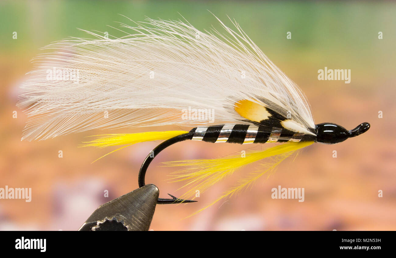 Black Ghost streamer fishing fly Stock Photo