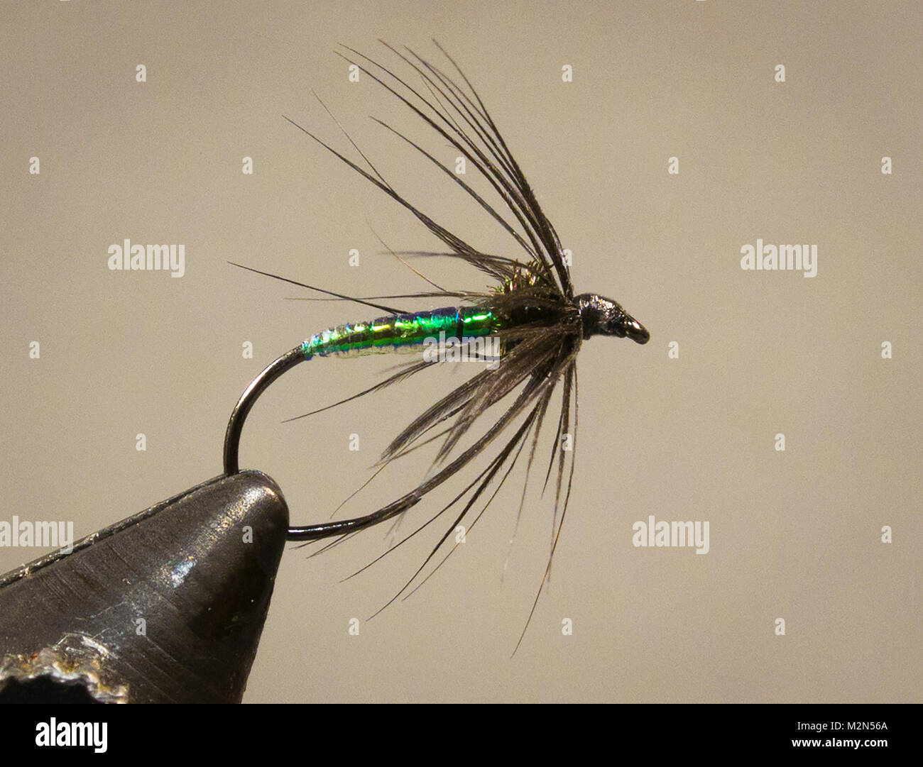 Soft hackle wet fly hi-res stock photography and images - Alamy