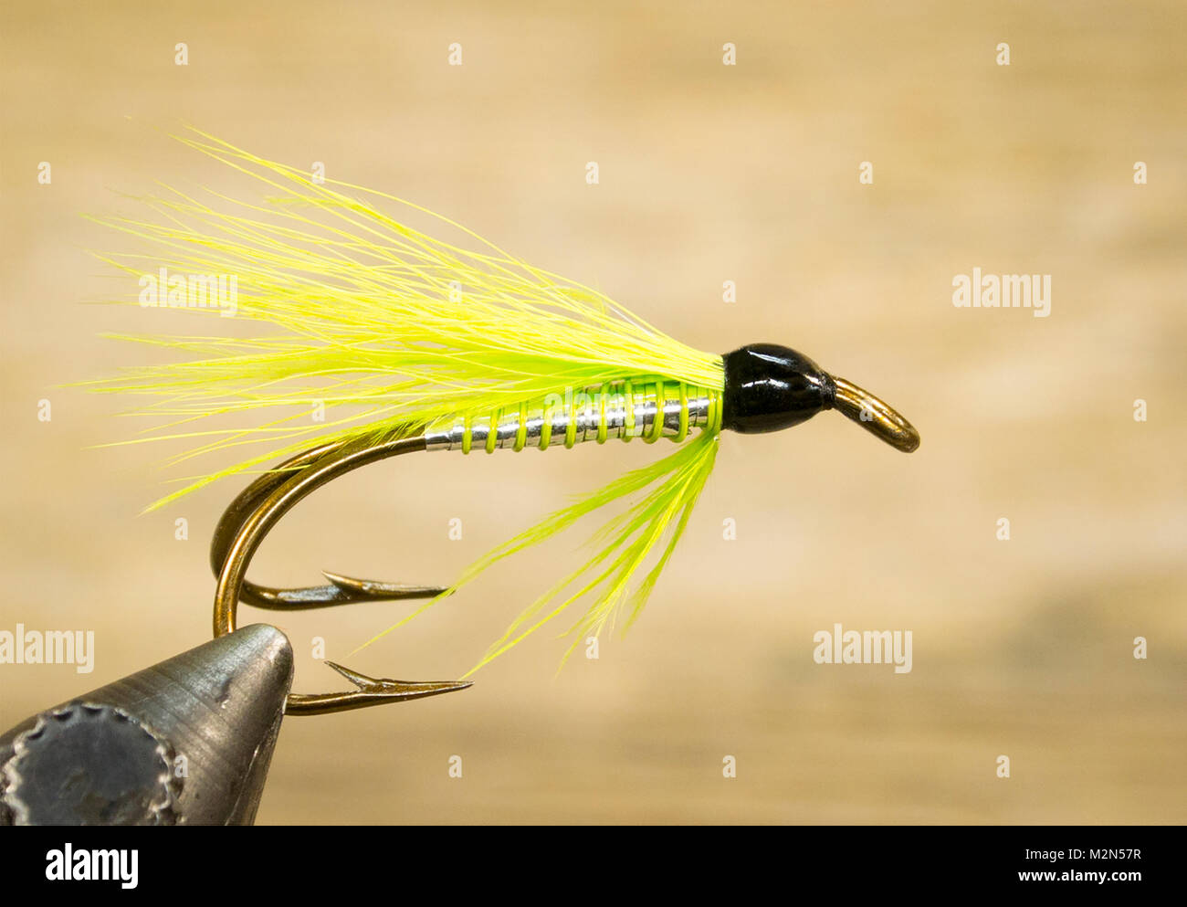 Chartreuse Bucktail Hairwing streamer Tied by Martin Battilana Hook: Mustad-Double  Fly ball-eye Bronzed #4 Body: silver tinsel Rib: lime green wire T Stock  Photo - Alamy