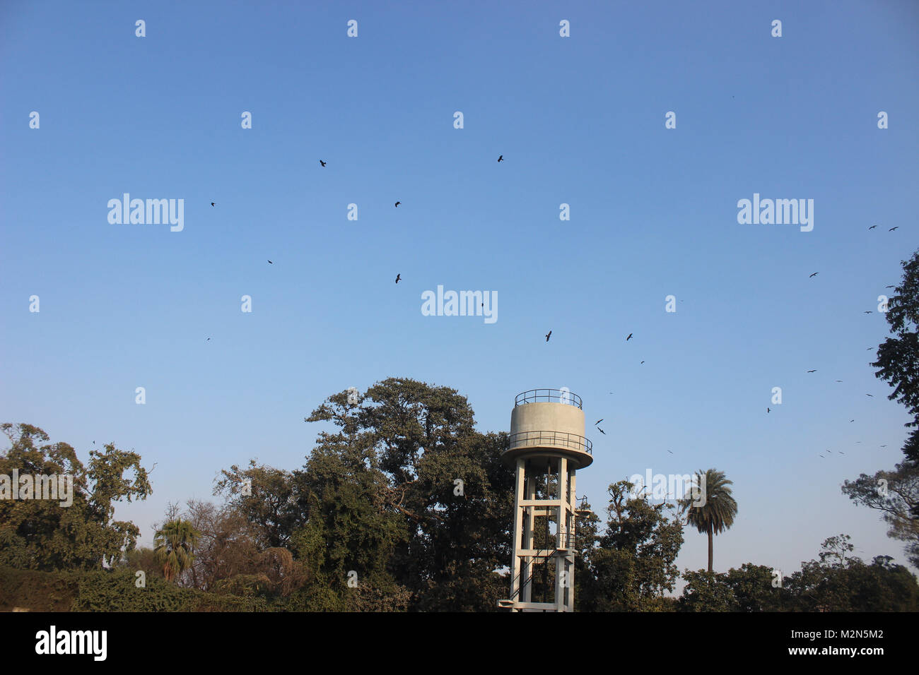 Water tower located in Lahore, Pakistan alongside green trees. Stock Photo