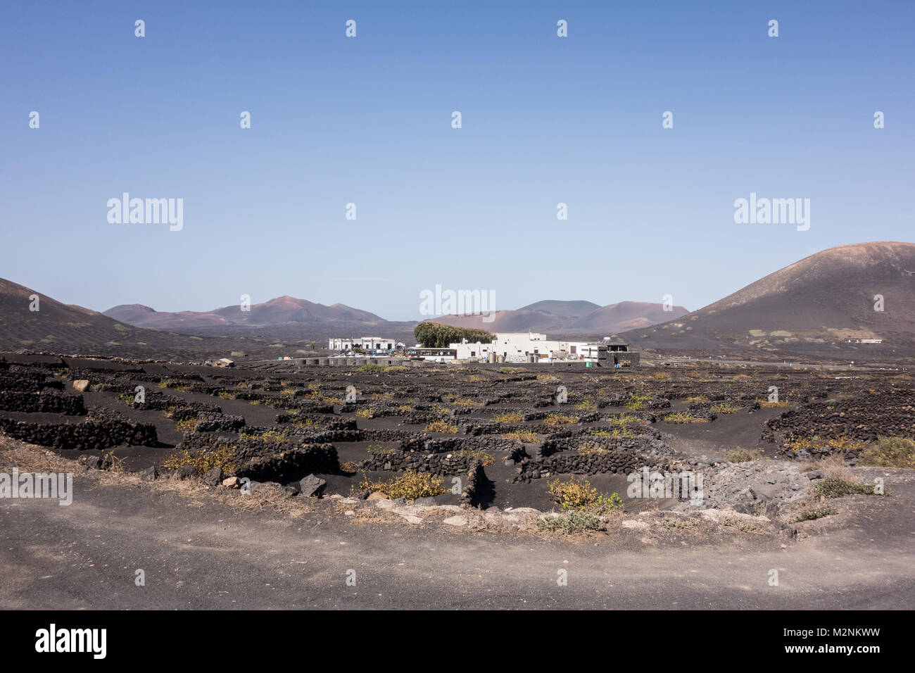 La Geria, Lanzarote - 8th Nov 2017. A traditional farm house surrounded by their vineyard with stoned walls to protect their grapes from the wind. Stock Photo