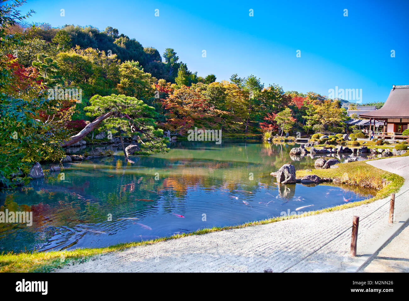 Garden with pond in front of Main pavilion Tenryu-ji Temple at Arashiyama, near Kyoto. Japan.Tenryuji Sogenchi Pond Garden a UNESCO World Heritage Sit Stock Photo