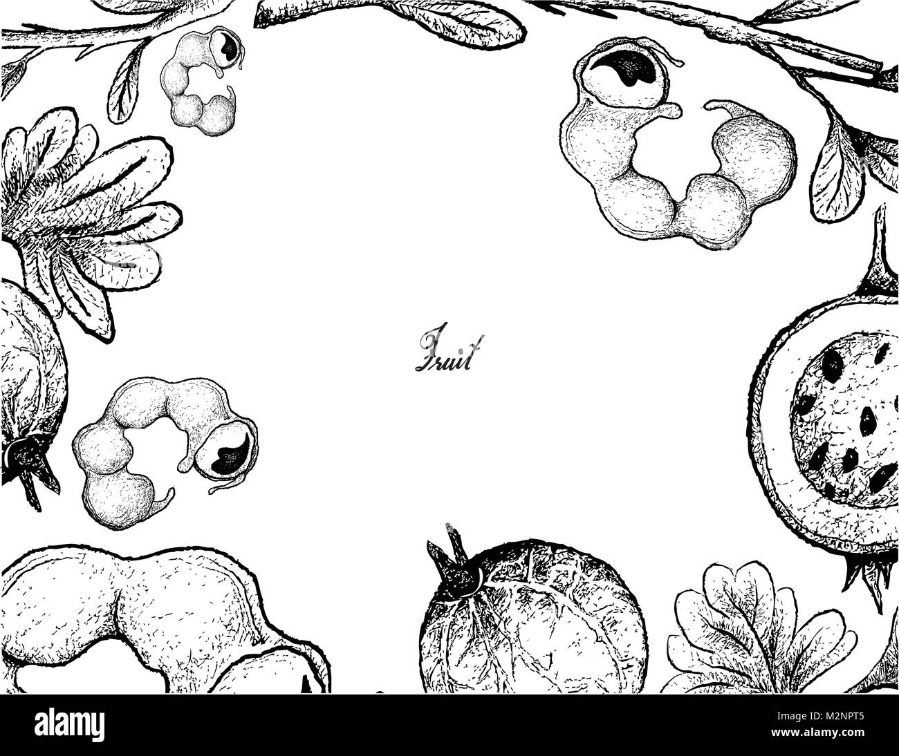 Fruits, Illustration of Hand Drawn Sketch Frame of Manila Tamarind and Gooseberry Isolated on White Background. Stock Vector