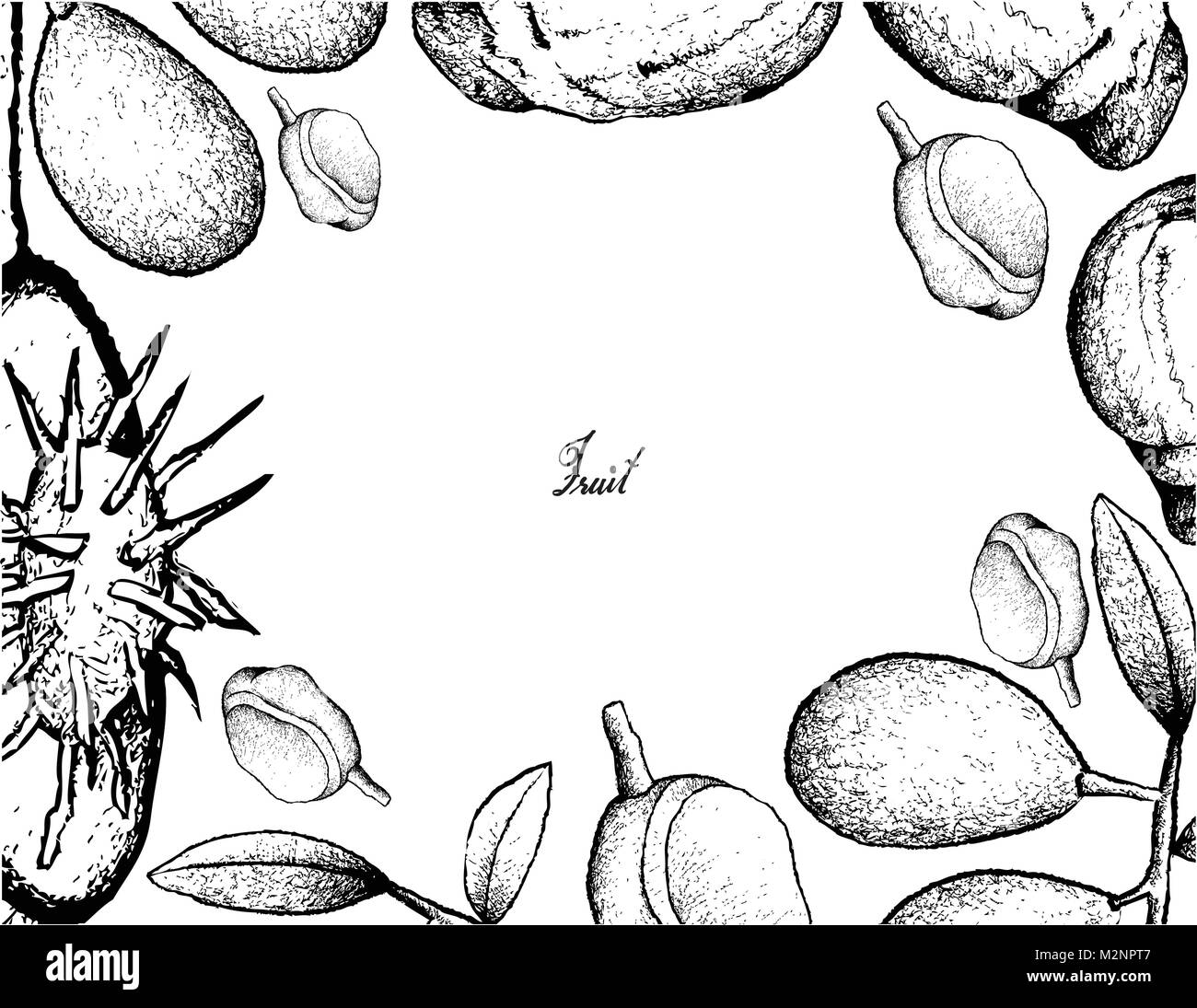 Tropical Fruit, Illustration Frame of Hand Drawn Sketch of Fresh Ambarella and Red Mombin Fruits Isolated on White Background. Stock Vector
