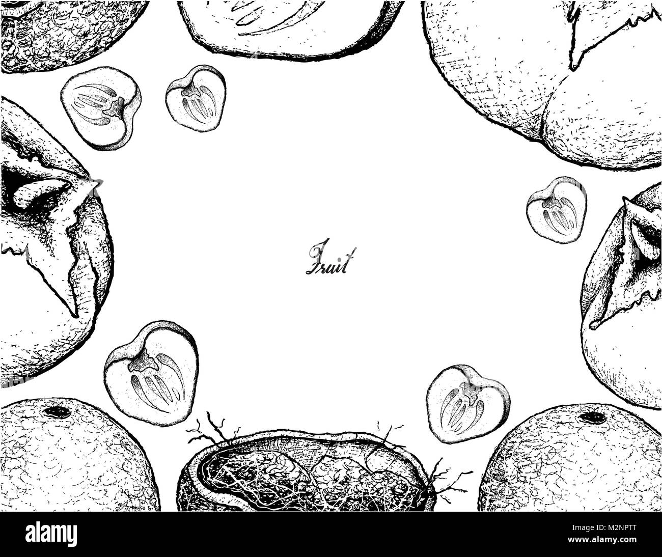 Fruits, Illustration Frame of Hand Drawn Sketch Fresh Wood Apple or Limonia Acidissima Fruit Isolated on White Background. Stock Vector