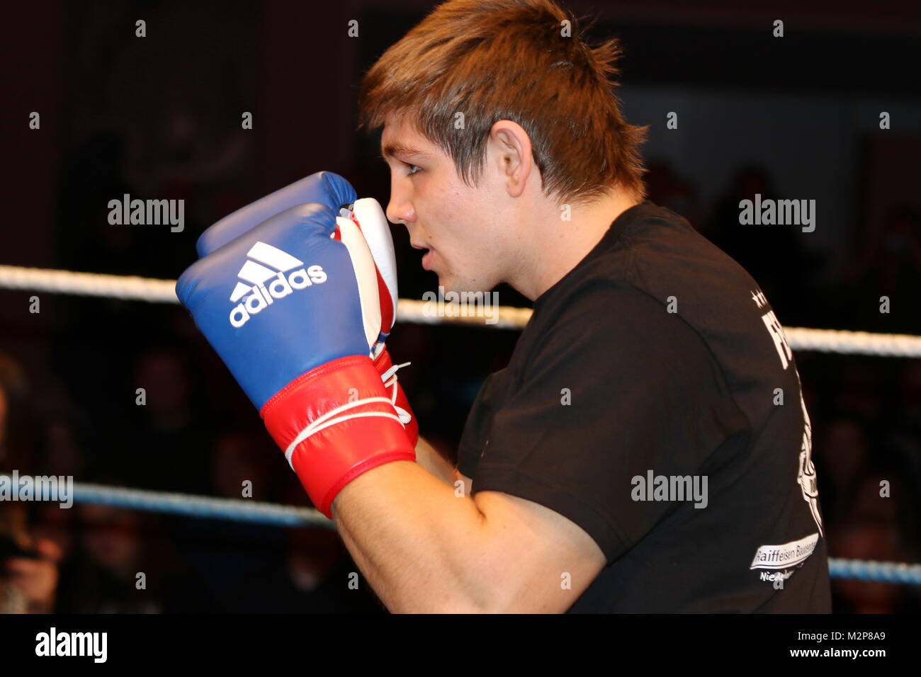 Mit den Fäusten und den Augen den Gegner im Visier: Vincent Feigenbutz beim Training zum Box-Weltmeisterschaftskampf im Dom des Europapark in Rust, zwischen Vincent Feigenbutz und dem Herausforderer Giovanni De Carolis Stock Photo