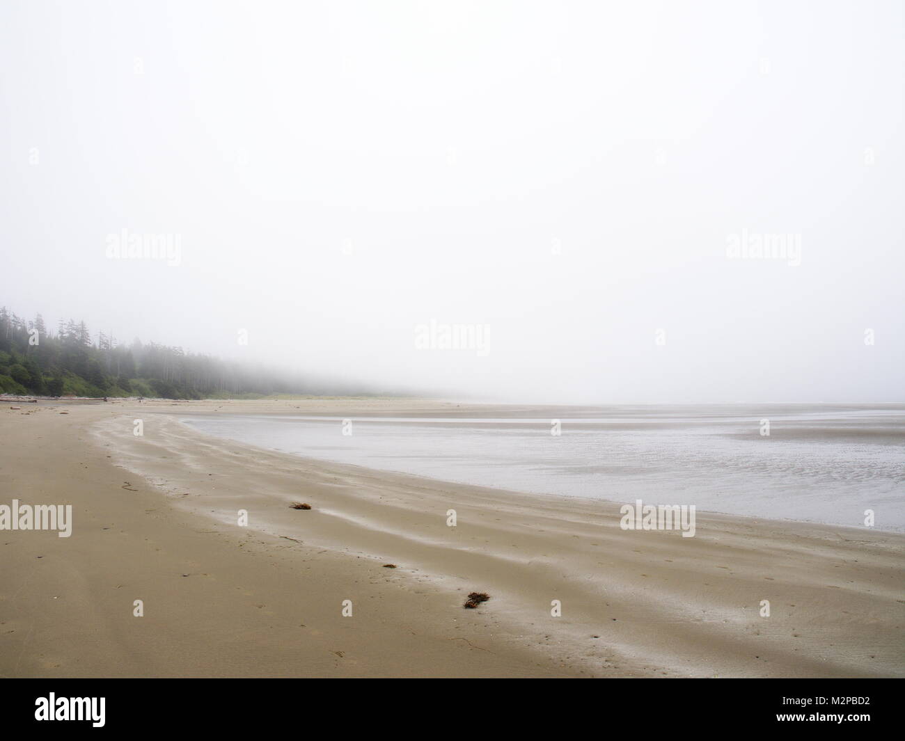 Tofino, Combers beach, in the fog - June 30/2017 - looking south.  Thick fog blends the ocean to the sky. Stock Photo