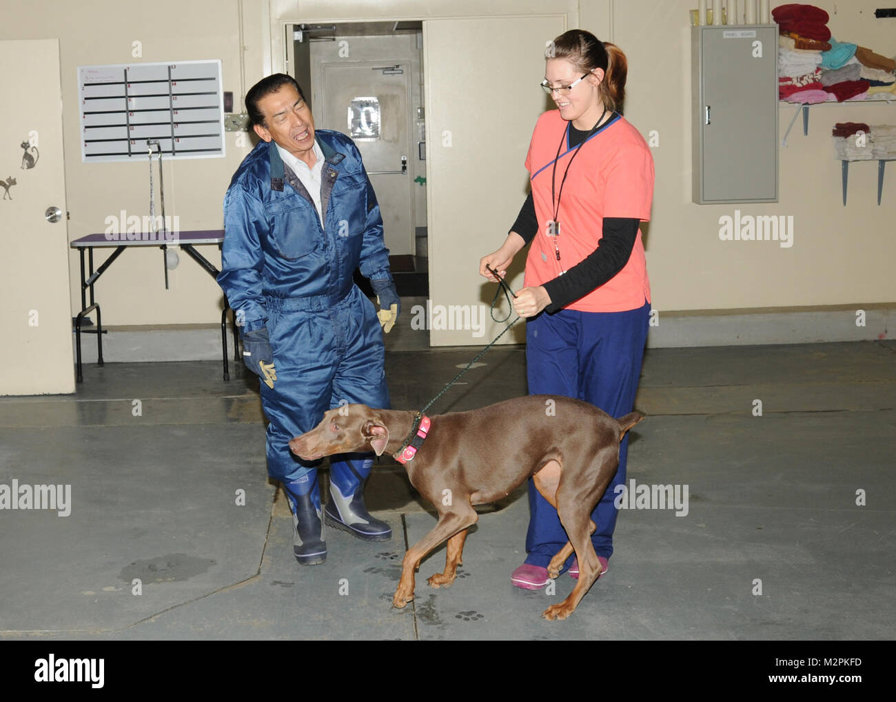 NAVAL AIR FACILITY MISAWA, Japan (March 24, 2011) Tanesha Wilcox, Animal Caretaker Lead, takes