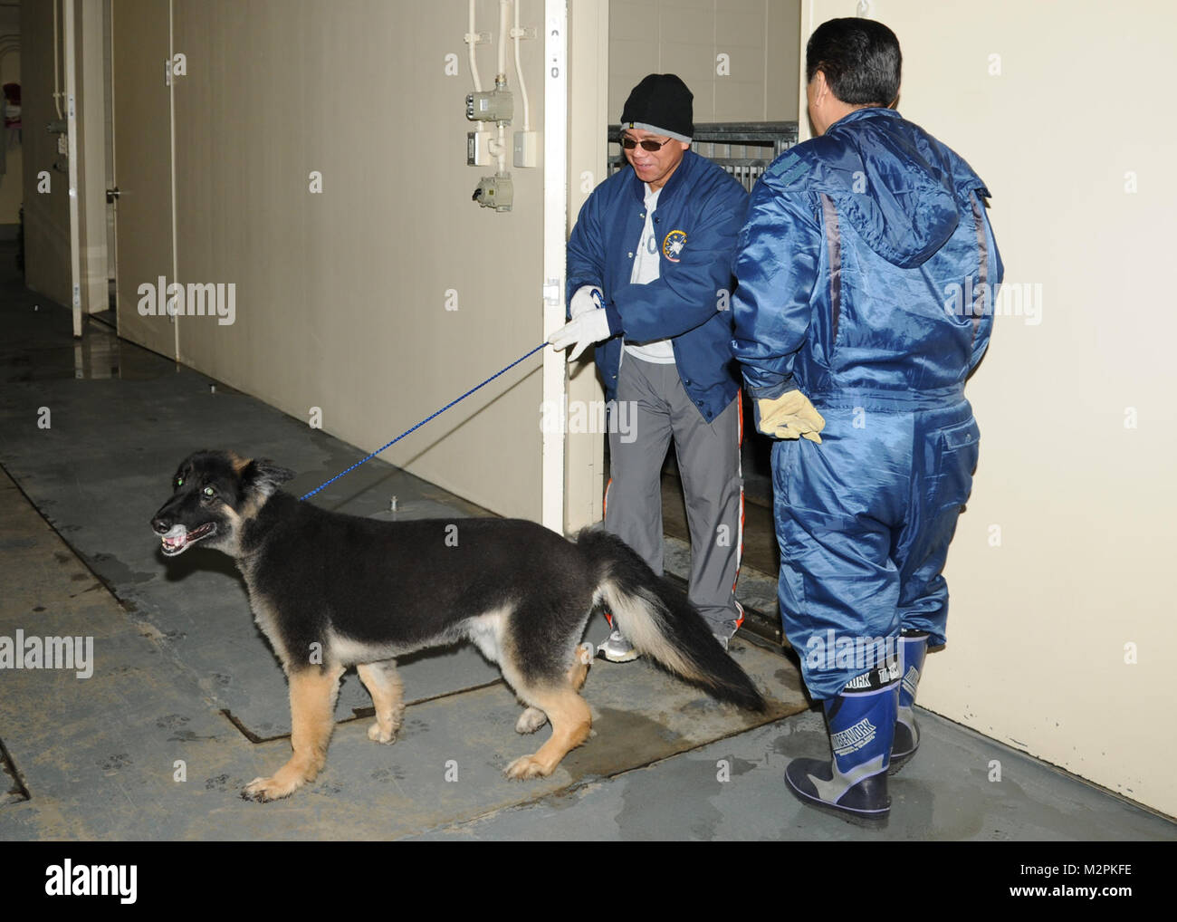 NAVAL AIR FACILITY MISAWA, Japan (March 24, 2011) Volunteer Robert