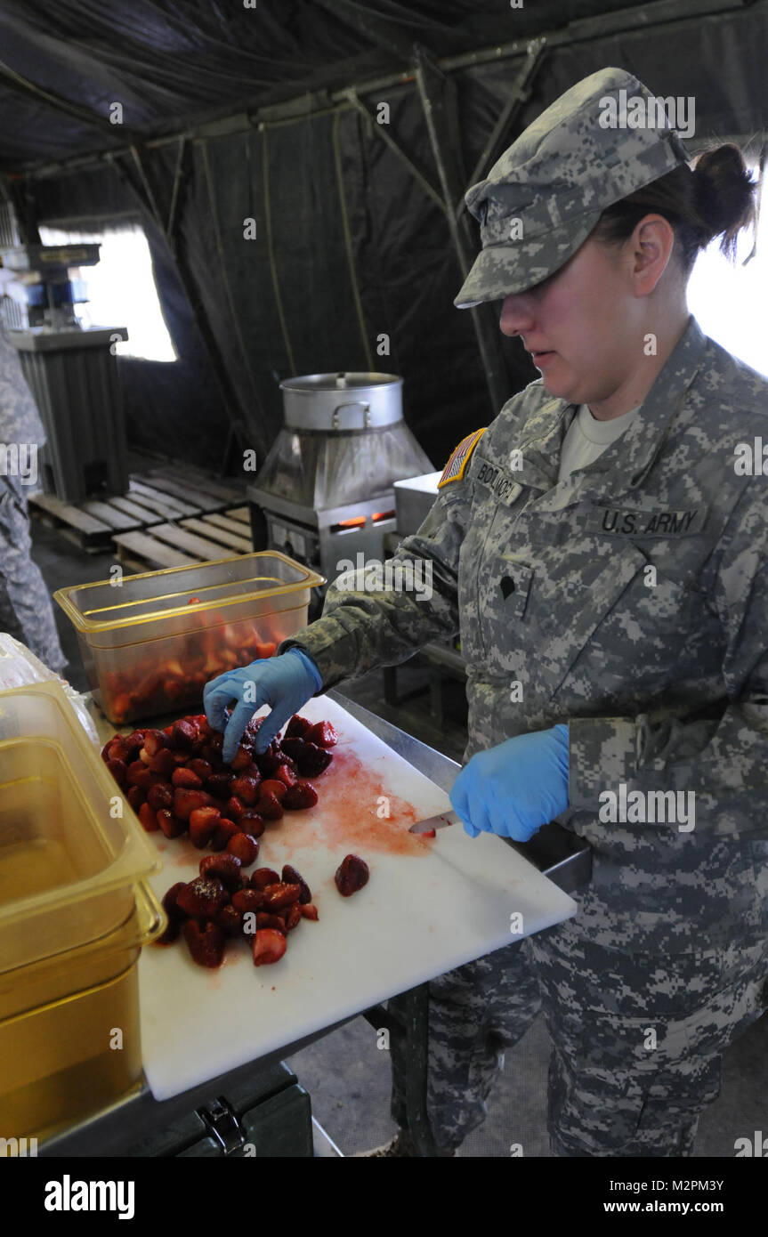 Spc. Jessica Botello-Mora of the 452nd Combat Support Hospital cuts strawberries at the U.S. Army Reserve's Connelly Competition at Fort McCoy, Wis., on April 9.  (Photo by Maj. Matt Lawrence, 807th MDSC Public Affairs). 20110409-DSC 2790 by 807MCDS Stock Photo