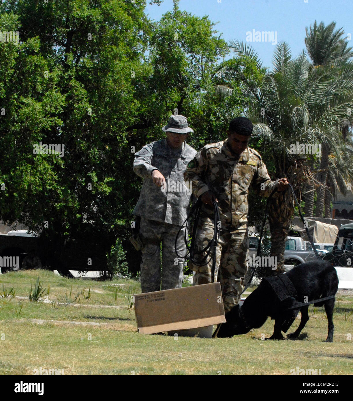 BAGHDAD—Sgt. 1st Class Earl C. Couture, left, an engineer with Company C, Special Troops Battalion, 2nd Advise and Assist Brigade, 1st Infantry Division, United States Division – Center and a Jay, Maine, native, and a handler with the 11th Iraqi Army Division watch as Joey, a black Labrador retriever working dog with the 11th IA Div., goes through a training exercise designed to test the dog’s ability to smell explosive materials Aug. 17 at Joint Security Station Old MoD, Iraq. Joey and three other working dogs were inherited by the 11th IA Div. from a contracting firm and are now being re-tra Stock Photo