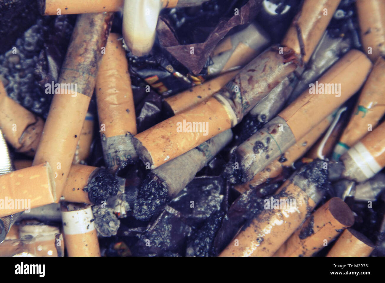 Here on Joint Base ElmendorfRichardson, there are several soldiers