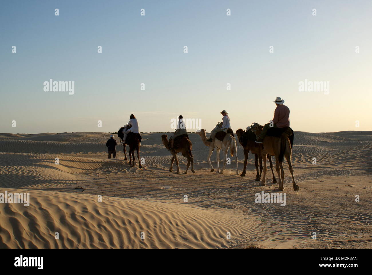 Camel treeking in the Sahara Desert near Douz, Tunisia Stock Photo