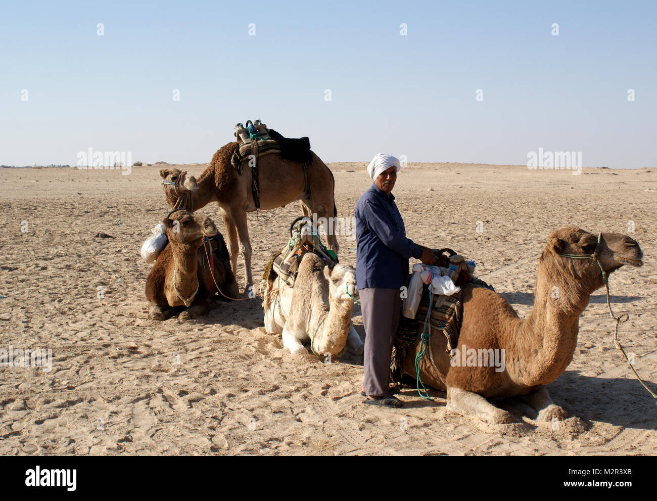 Camels and their Berber guide resting in the desert sand near Douz, Tunisia Stock Photo