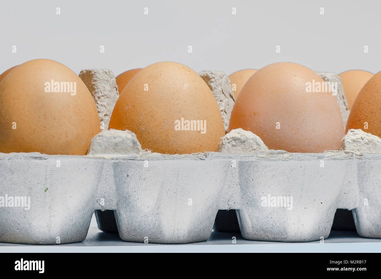 dirty duck eggs in the tray on gray background. preparation for Easter