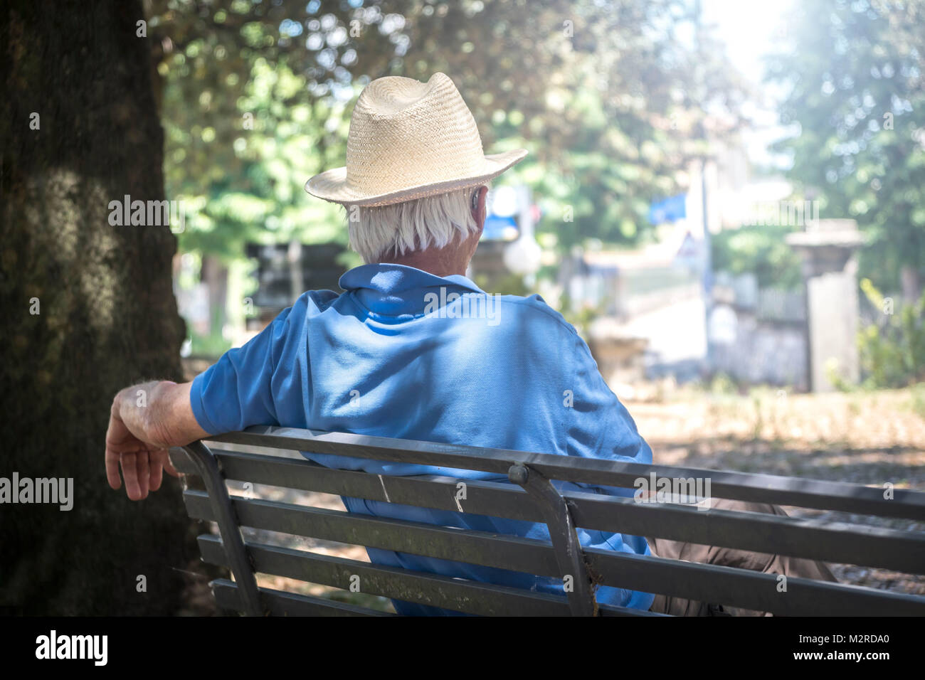 Old man on park-bench, posterior view Stock Photo