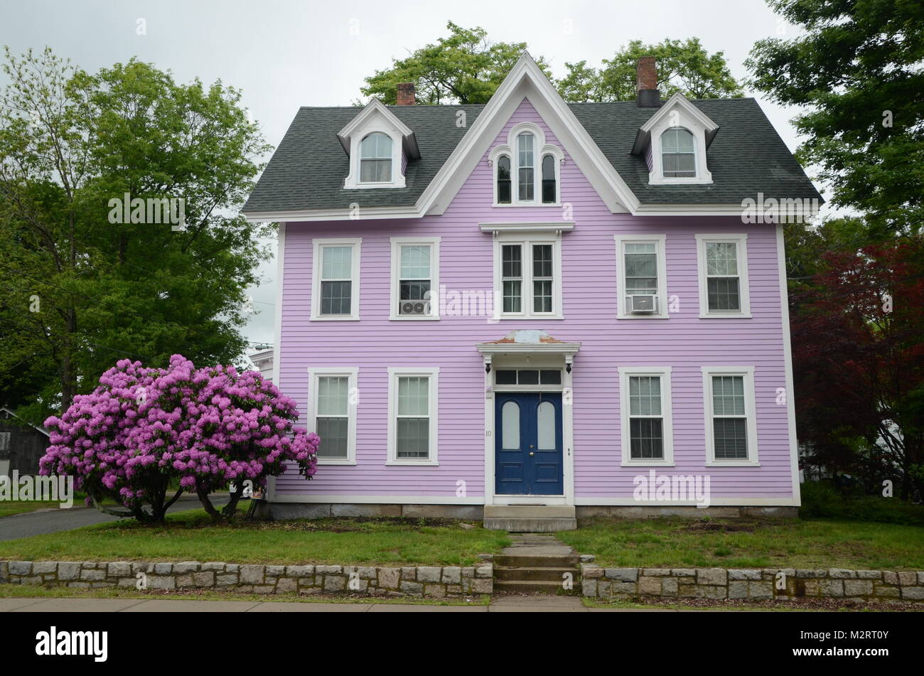 pink painted wooden house with pink bush wakefield rhode island new