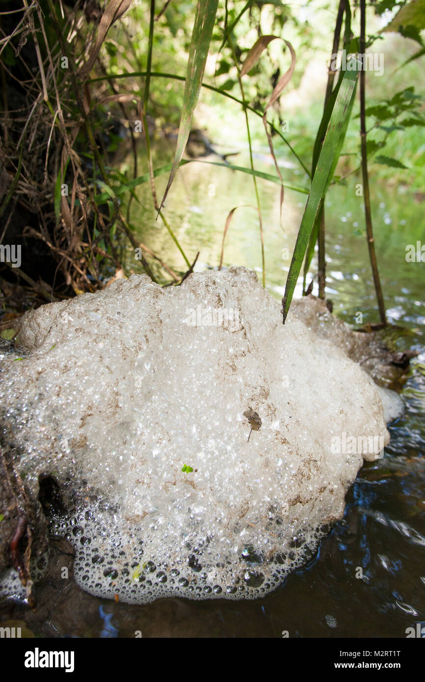 Schaum, Schaumbildung in einem Bach, Wasseroberfläche, scum, foam, spume, foam formation, frothing formation Stock Photo
