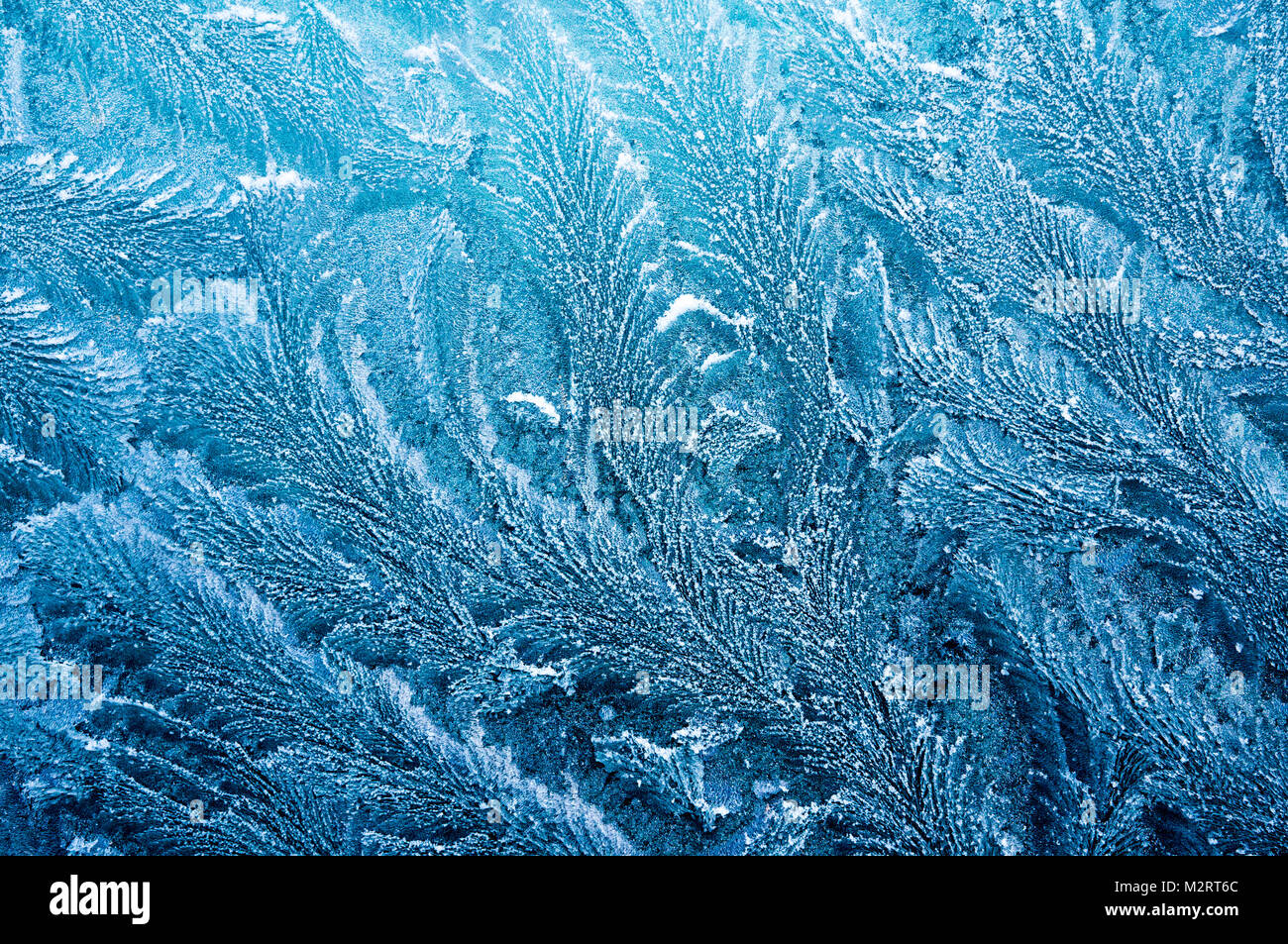 Iceflowers, frozen.The ice-cold frost forms ice crystals in beautiful unique patterns Stock Photo