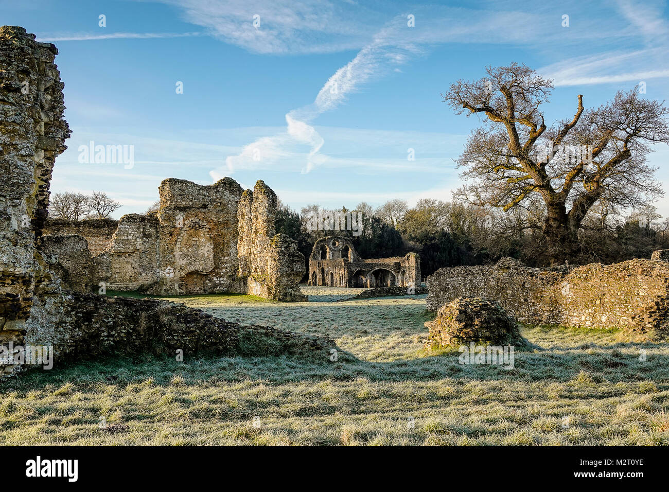 Waverley Lane, Farnham. 08th February 2018. A bitterly cold start to the day for the Home Counties with sub-zero temperatures. Frosty conditions at Waverley Abbey near Farnham in Surrey. Credit: james jagger/Alamy Live News Stock Photo