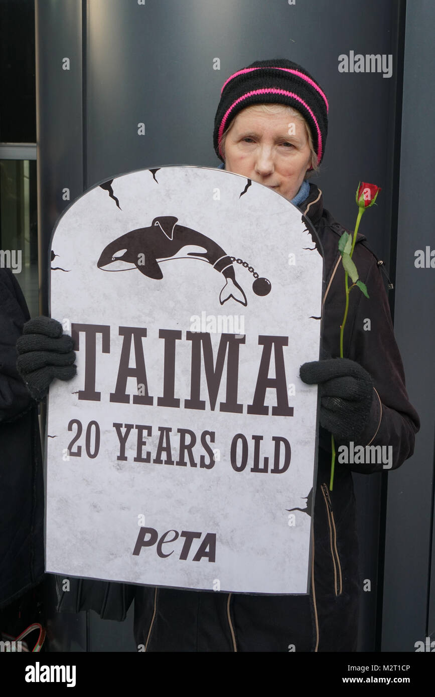 London, UK. 8 February, 2018. PETA activist protest during Thomas Cook Annual General Meeting in London on 8 Feb 2018. Campaigners install 'gravestone' and hold red roses for each of the orcas who have died at SeaWorld. Credit: See Li/Alamy Live News Stock Photo