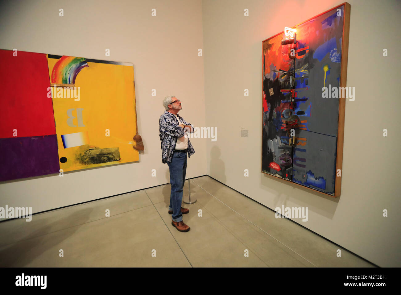 (180208) -- LOS ANGELES, Feb. 8, 2018 (Xinhua) -- A man visits the preview of an exhibition entitled 'Something Resembling Truth' showcasing Jasper Johns' art works in Los Angeles, the United States, Feb. 7, 2018. The exhibition will open to the public from Feb. 10 to May 13. (Xinhua/Li Ying)(jmmn) Stock Photo