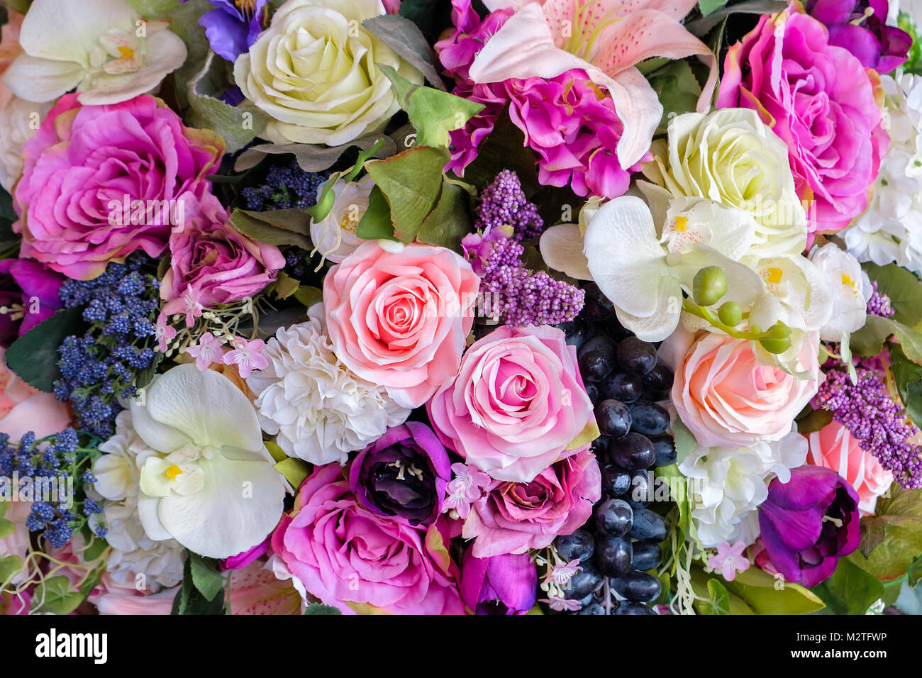 Various passion flowers hi-res stock photography and images - Alamy