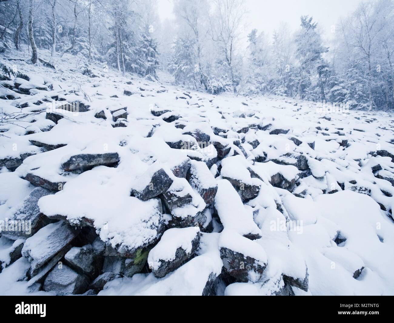 Close up to rocky terrain with fresh powder snow, landscape hidden in ...