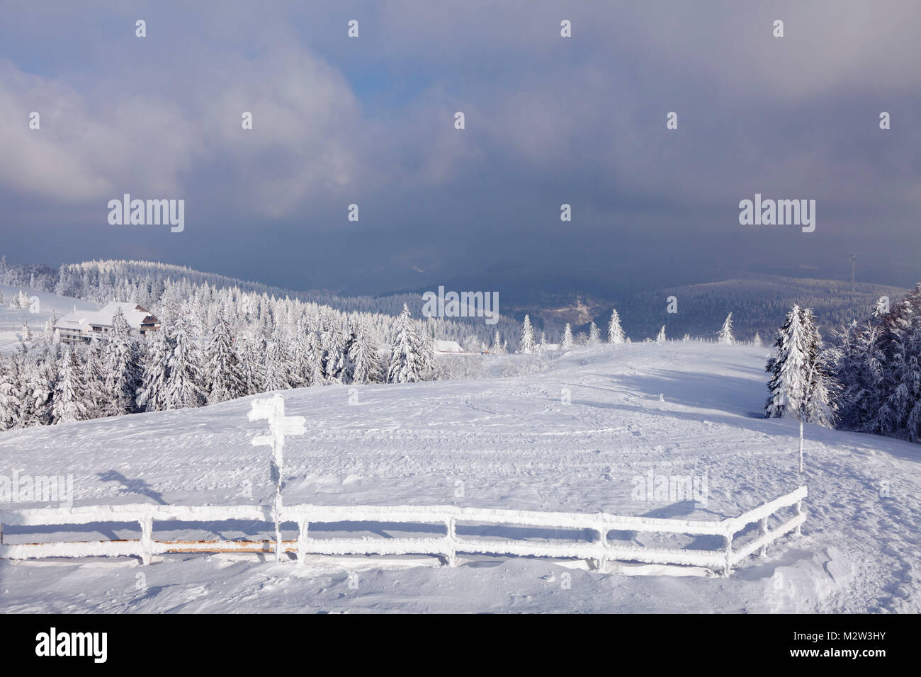 Winter scenery at the Kandel, Black Forest, Baden-Wurttemberg, Germany Stock Photo