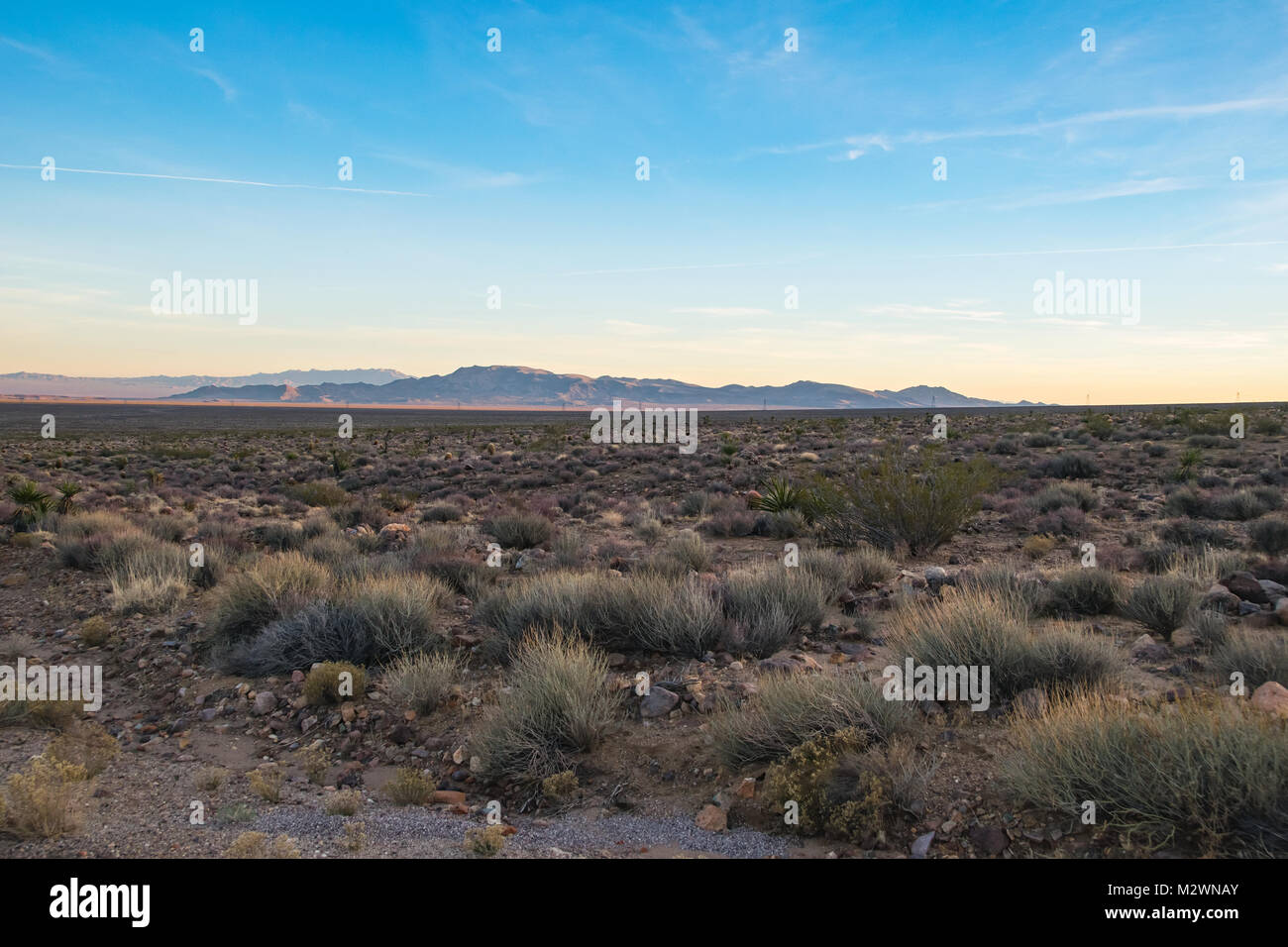 Panoramic picture of Arizona desert at daytime, United States southwest ...