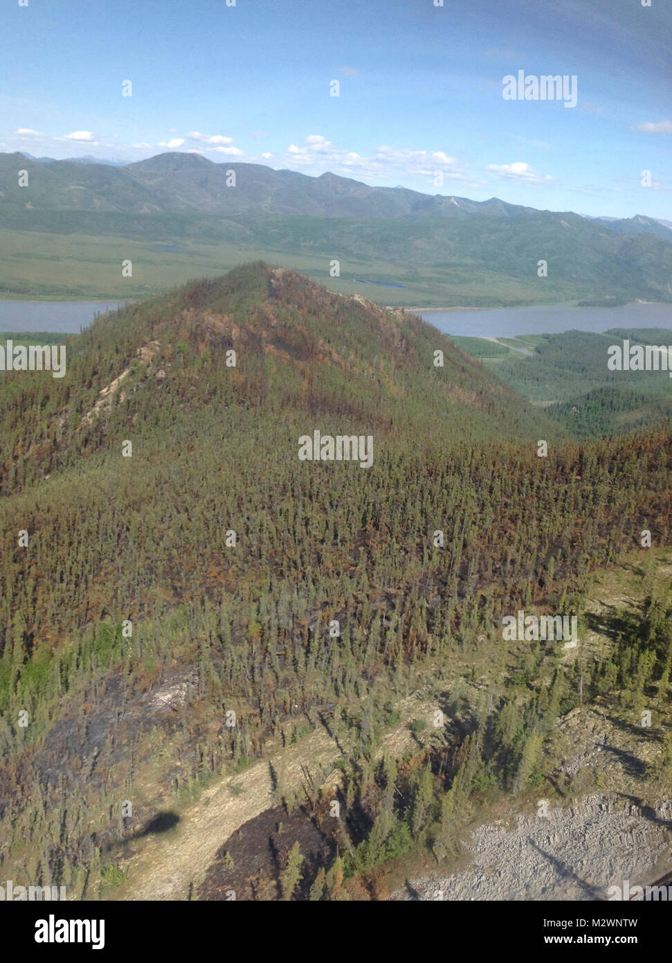 Trout Creek Fire, YukonCharley Rivers National Preserve Stock Photo