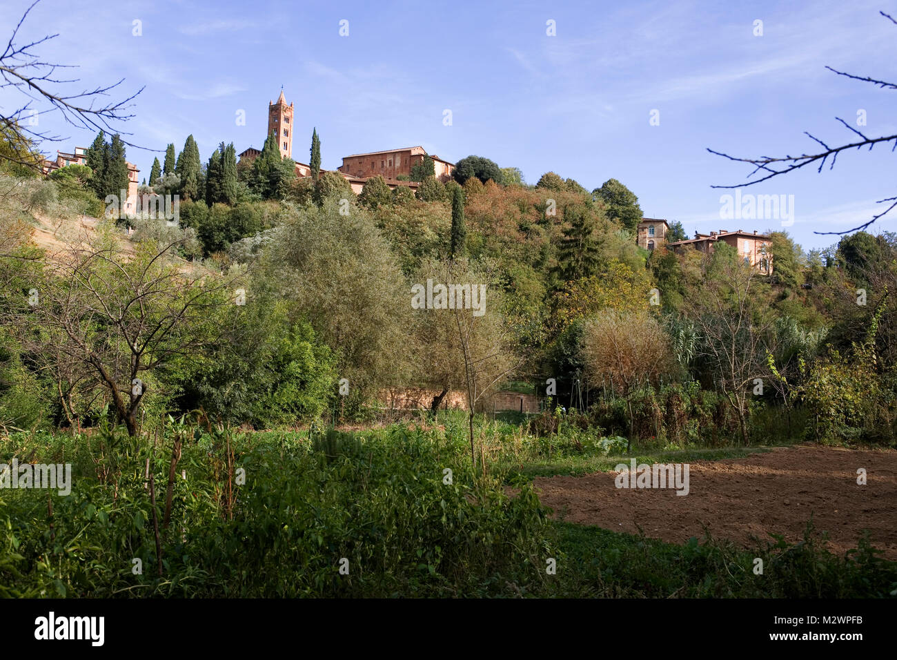 The tower of Santa Maria dei Servi in Valdimontone, from the Orto de'Pecci, a lovely area of working gardens in the heart of Siena, Tuscany, Italy Stock Photo